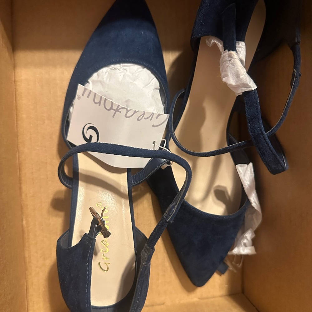 Greatonu Navy Pointed Toe Flats
